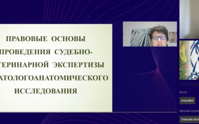 УЧАСТИЕ В ОНЛАЙН-КОНФЕРЕНЦИИ «ПРАВОВЫЕ АСПЕКТЫ В СФЕРЕ ВЕТЕРИНАРИИ И ЗООБИЗНЕСА» ДЛЯ СПЕЦИАЛИСТОВ ВЕТЕРИНАРНОЙ СЛУЖБЫ ЗАПОРОЖСКОЙ ОБЛАСТИ